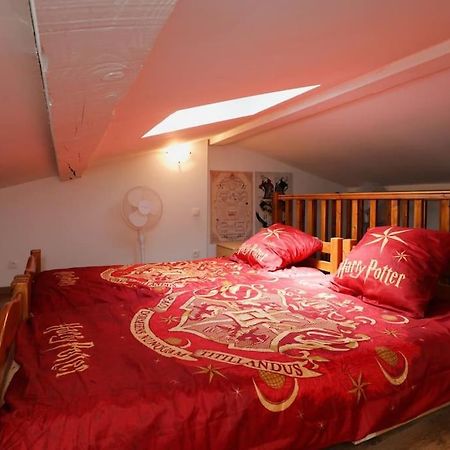Harry Potter - Le Logis Du Petit Sorcier - Clim Apartment Carcassonne Exterior foto